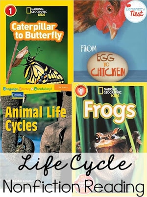Life Cycles Reading- Educational Ideas and Teaching Ideas for life cycles. Anchor charts, reading, resources, and technology to help teach this science topic in first and second grade classrooms.
