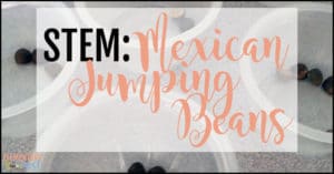 STEM: Mexican jumping beans