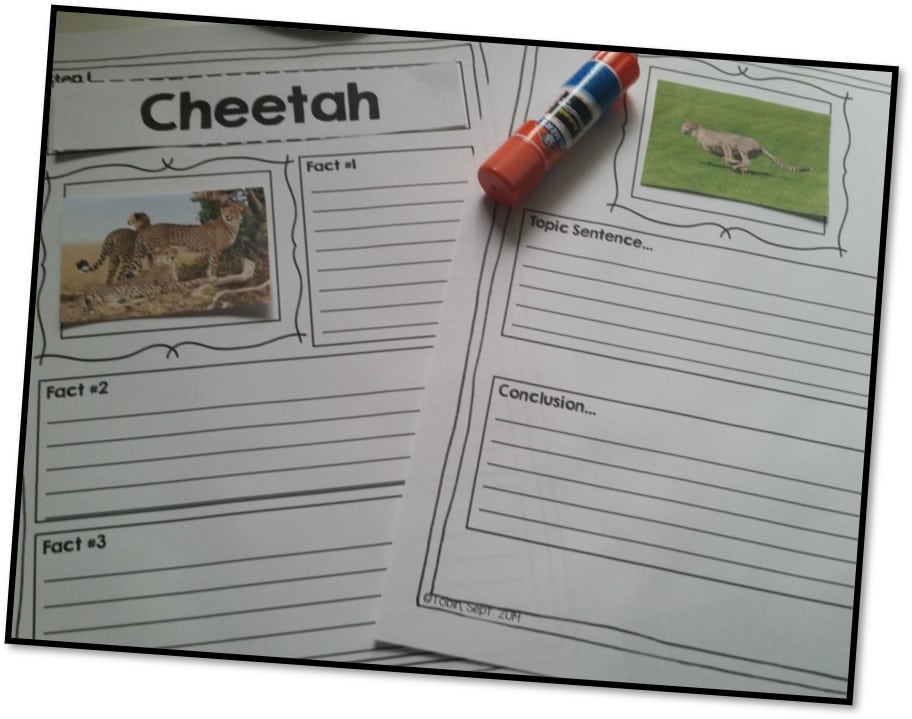 Interactive writing activities - How to make writing interactive with choices and ownership over the narrative writing, opinion writing, and informative writing