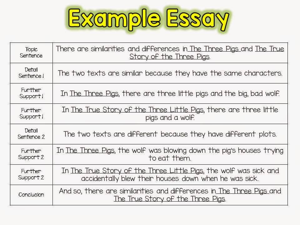 Example Essay
