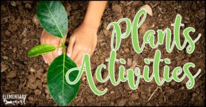 Plants activities
