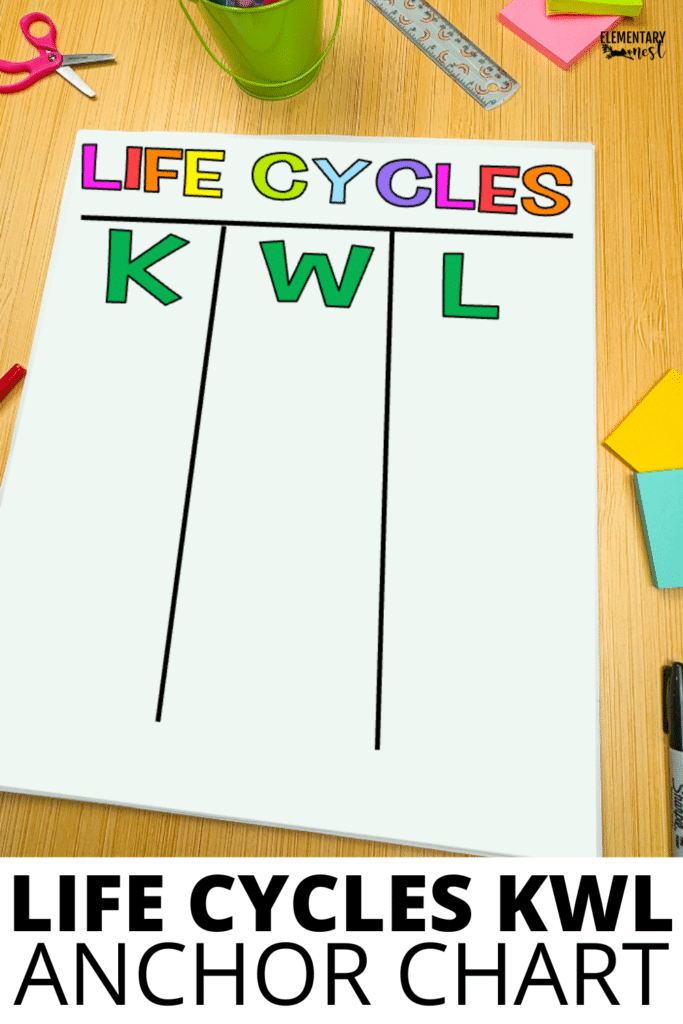 Anchor Chart Ideas for Life Cycles
