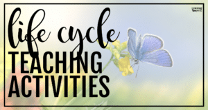 Life Cycle Teaching Activities Blog Post