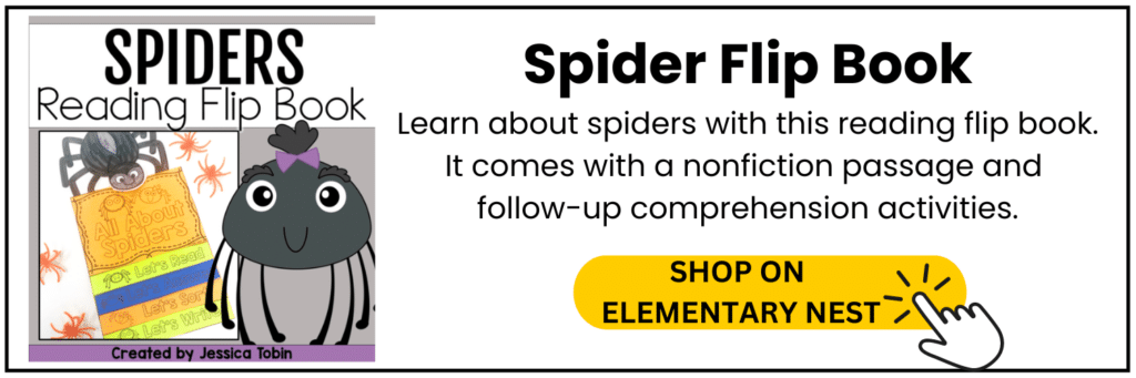 spider flip book