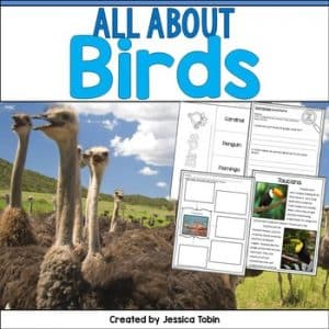 Birds Nonfiction Unit