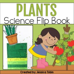 Plants Reading Flip Book
