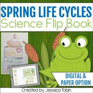 Spring Life Cycles Flip Book