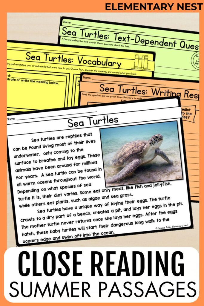 Multiple summer learning reading worksheets on sea turtles, including vocabulary, writing response, and comprehension questions