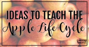 Blog cover image with text overlay that says “Ideas to Teach the Apple Life Cycle” on a background of apples.
