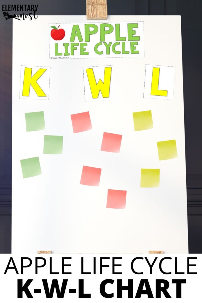 Apple life cycle KWL chart with sticky notes showing what students know, want to know, and have learned.