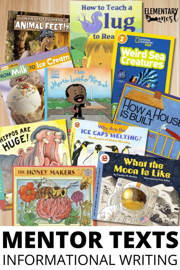 Collection of informational mentor texts including titles like “Weird Sea Creatures,” “What If You Had Animal Feet,” and “How a House Is Built.”