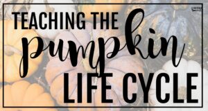 Fall-themed blog cover with pumpkins and the words “Teaching the Pumpkin Life Cycle.”