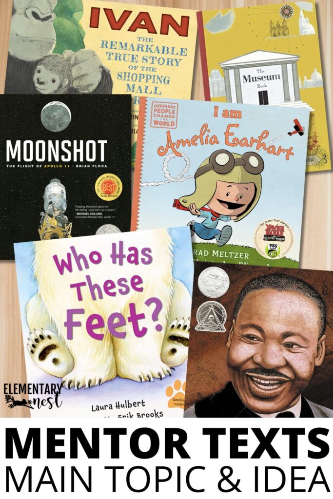 Children’s books displayed as mentor texts for teaching main idea and main topic.