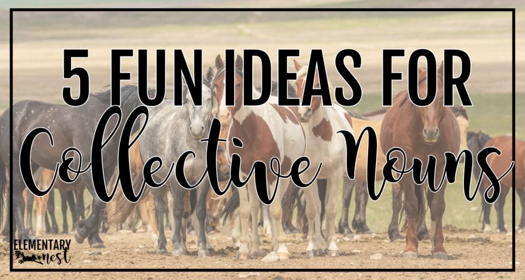 5 Fun Collective Nouns Activities for Your Classroom Group of horses representing a herd, used as a blog header for teaching collective nouns.