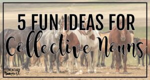 Group of horses representing a herd, used as a blog header for teaching collective nouns.