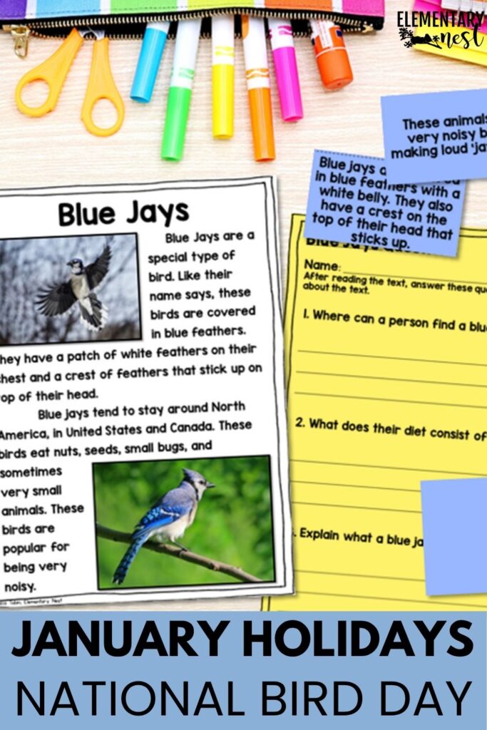 Blue jay reading passages and comprehension questions for National Bird Day.