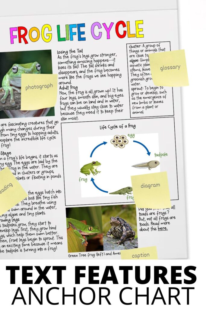 frog life cycle text features anchor chart showing diagram labels glossary and captions for elementary students