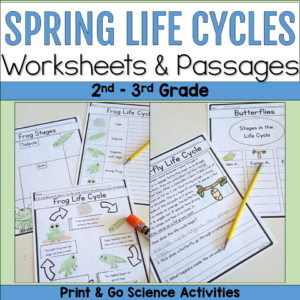 Spring life cycles worksheets and reading passages for 2nd and 3rd grade featuring frog and butterfly life cycle activities.