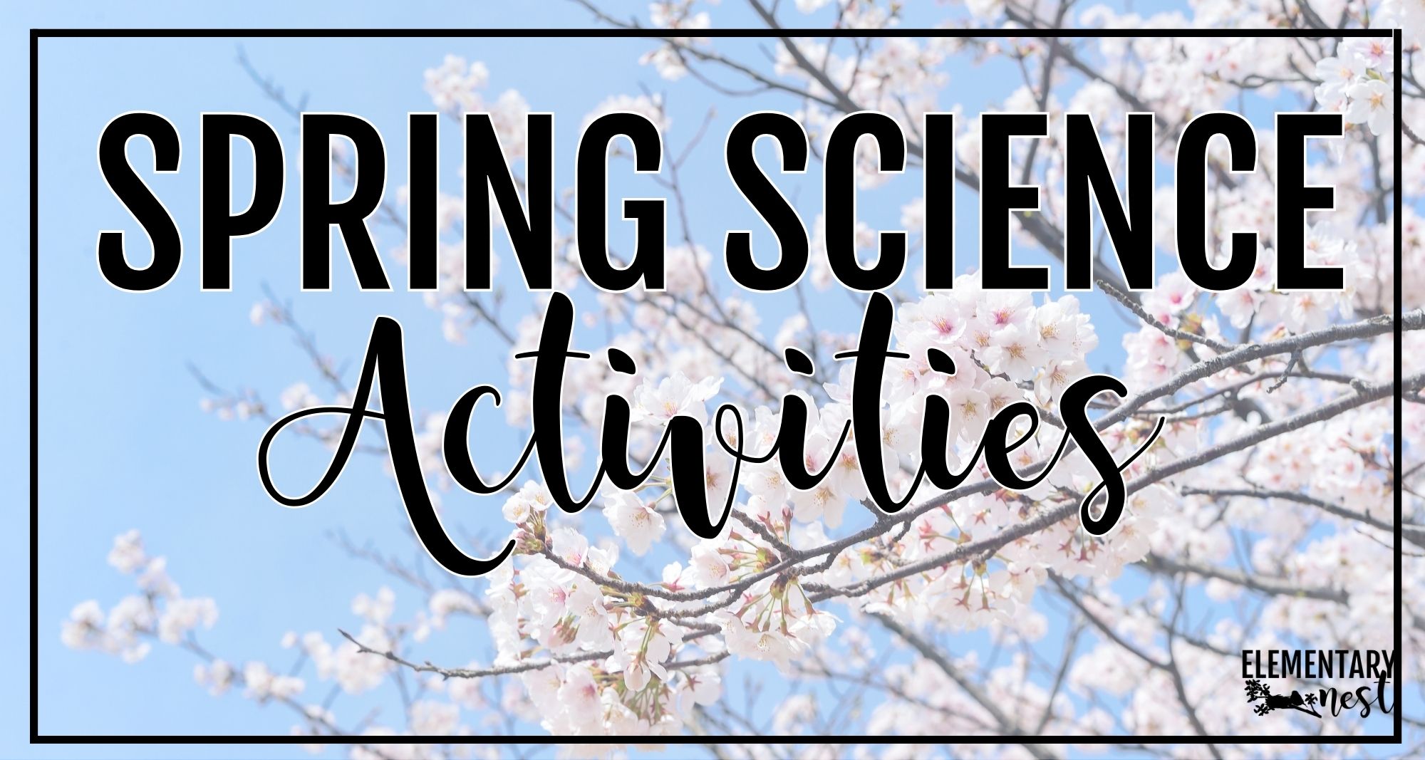 5 Amazing Main Topic And Main Idea Anchor Chart Ideas