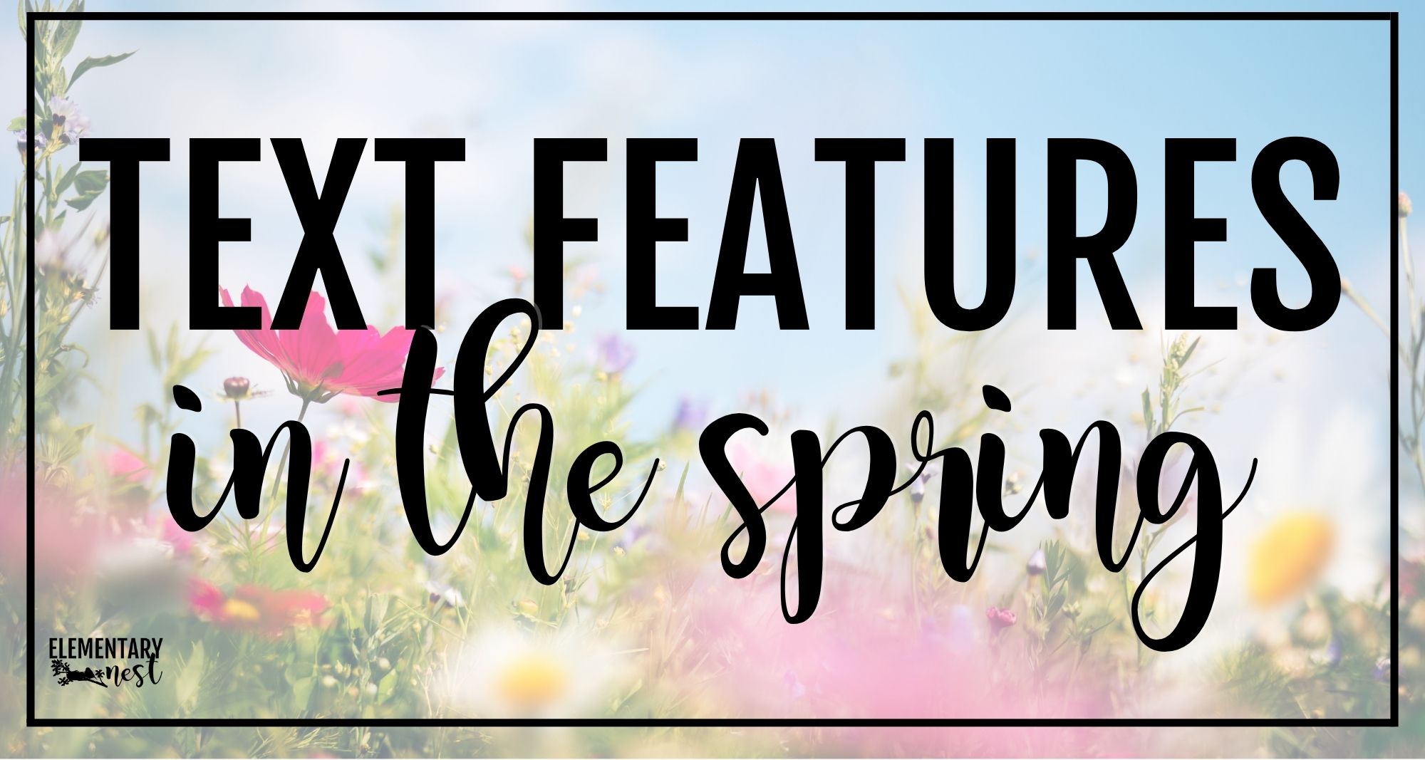 spring text features activities for elementary students with flowers and seasonal classroom theme