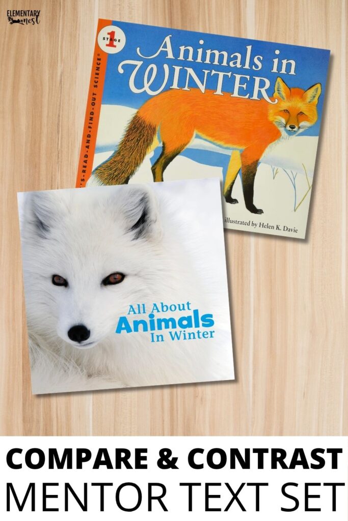 compare and contrast nonfiction mentor texts animals in winter informational books